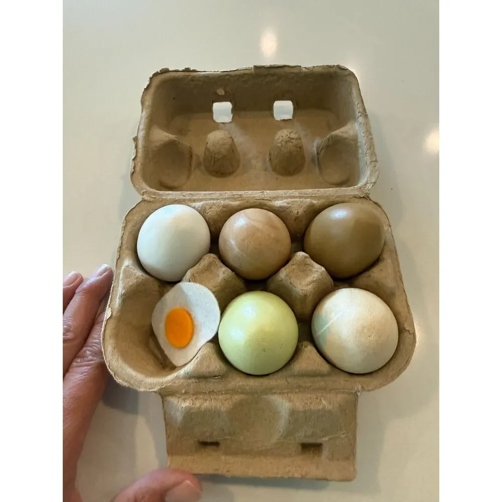 Tender Leaf Wooden Toy Eggs and Carton